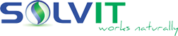 Logo Solvit